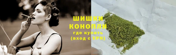 Альфа ПВП Осинники