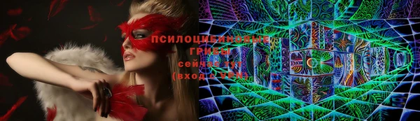 СК Осташков
