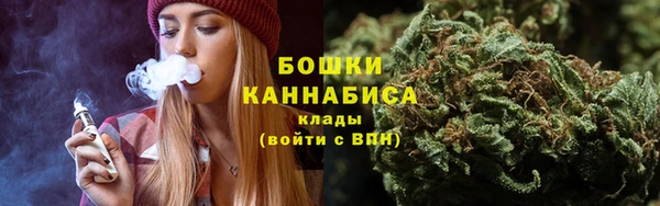 Альфа ПВП Осинники