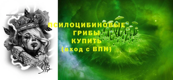 Альфа ПВП Осинники