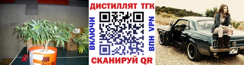 Дистиллят ТГК концентрат  Бокситогорск 