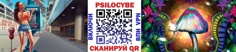Псилоцибиновые грибы мицелий blacksprut онион Бокситогорск