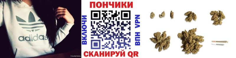 Шишки марихуана THC 21%  Бокситогорск 